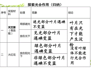 探索光合作用第二課時(shí)