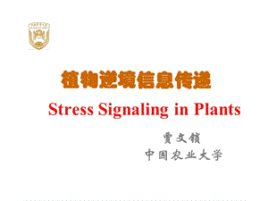 植物逆境信息传递研究进展