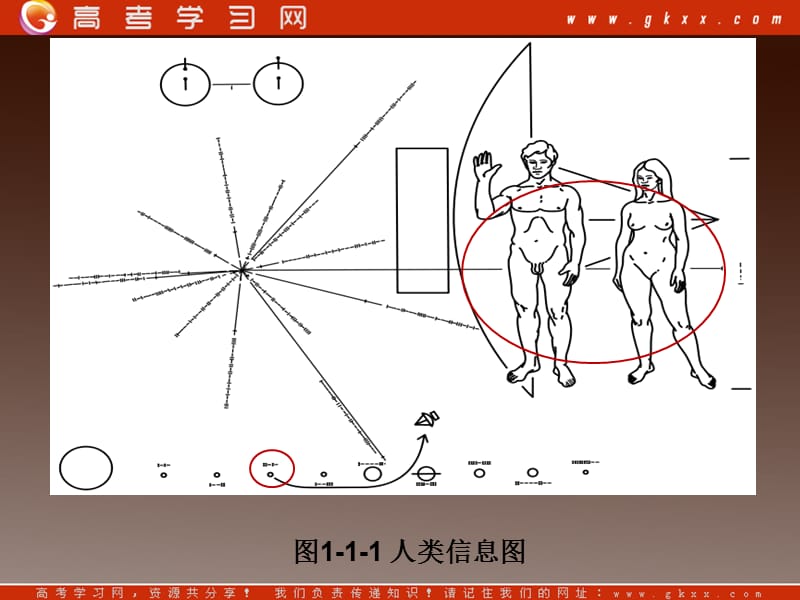 高中地理 第一章1.1《地球的宇宙环境》课件6 鲁教版必修1_第3页