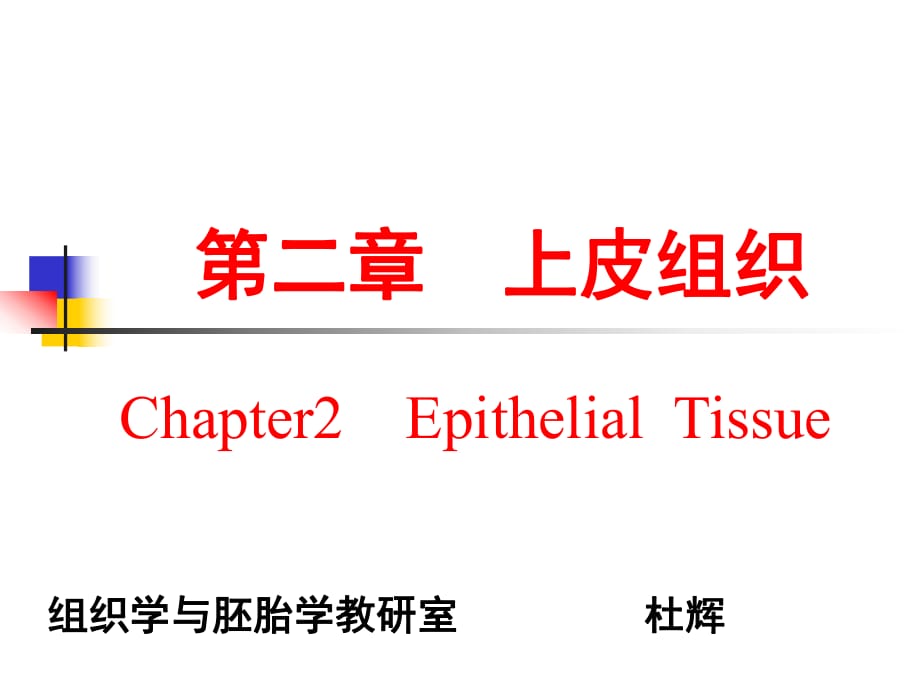 大學課件組織學與胚胎學上皮組織_第1頁