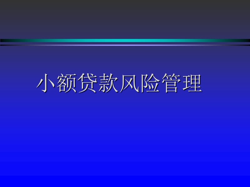 小額貸款風(fēng)險(xiǎn)管理實(shí)務(wù)_第1頁(yè)