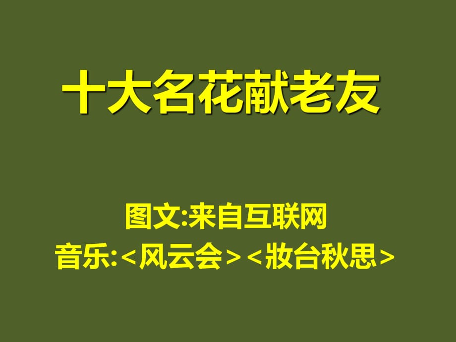 在一年一度的七夕之際將十大名花獻(xiàn)給我的朋友_第1頁(yè)