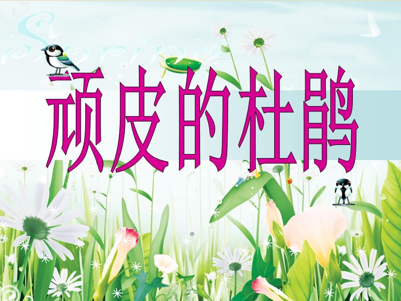 小学音乐《顽皮的杜鹃》课件PPT_第2页