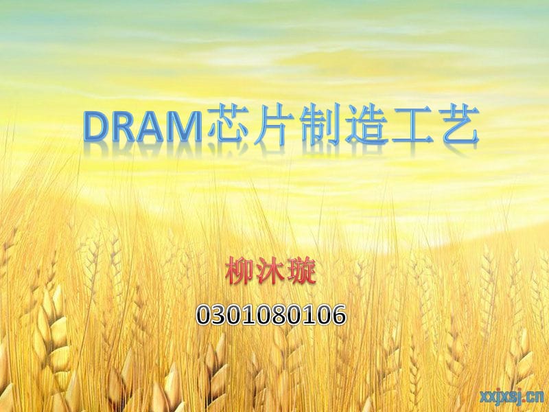 DRAM制造工藝_第1頁