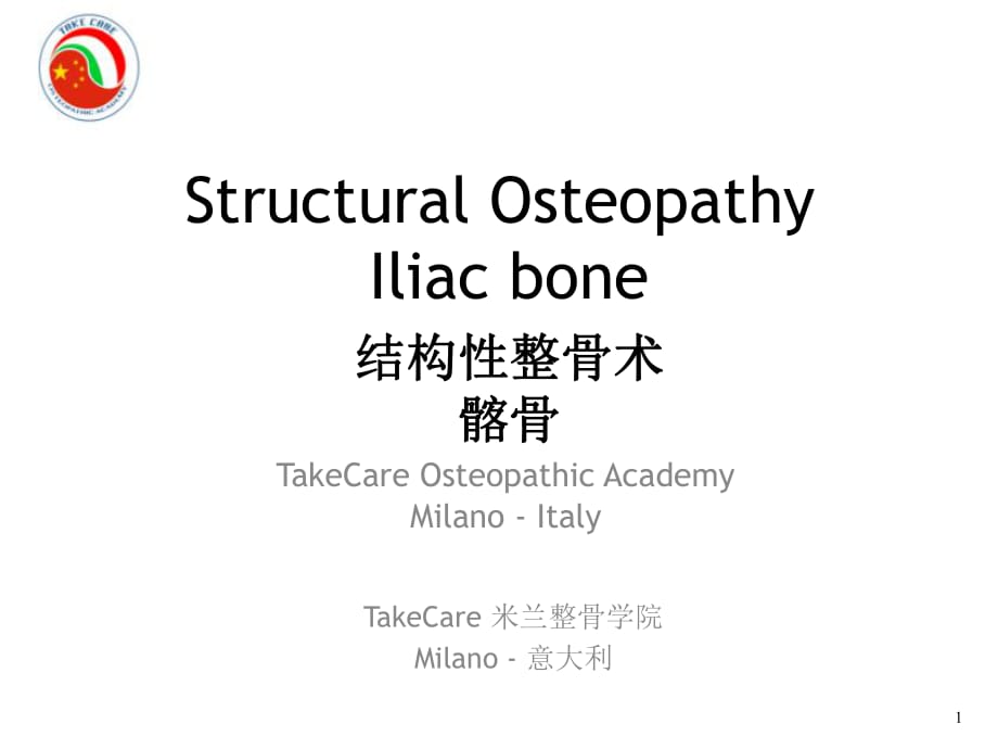 ILIACBONE中英文_第1页