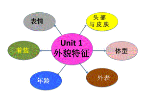 unit1外貌特征