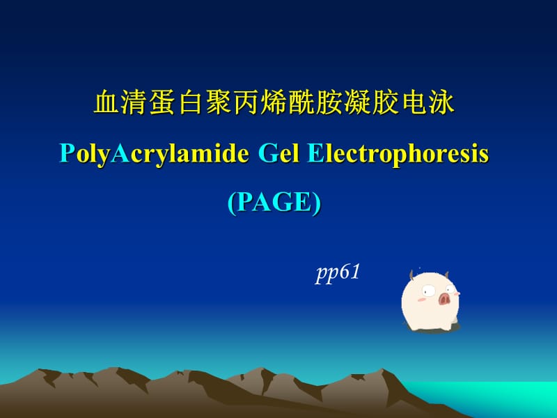 血清蛋白聚丙烯酰胺凝膠電泳_第1頁