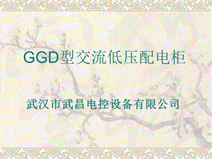 《GGD產(chǎn)品介紹》PPT課件