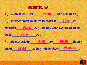 《原始的農(nóng)耕生活》ppt