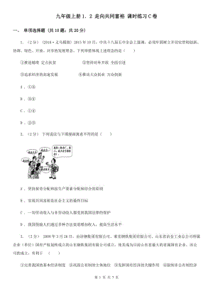 九年級上冊1．2 走向共同富裕 課時練習(xí)C卷