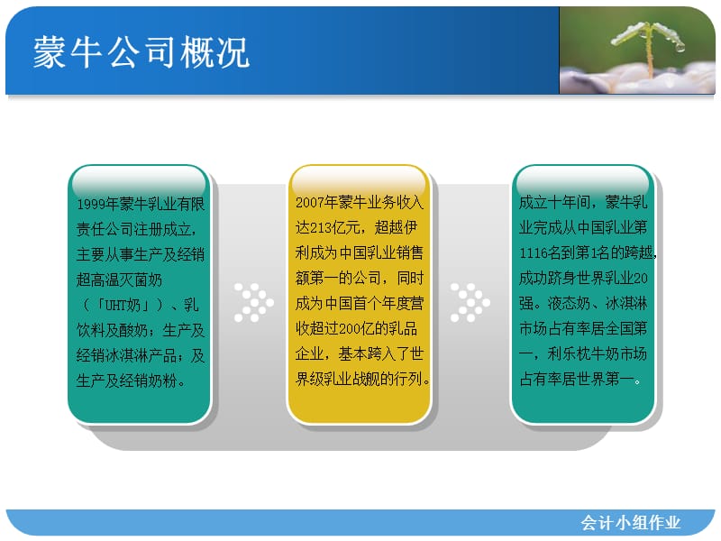 【财务管理案例】第八章资本决策案例——蒙牛_第2页