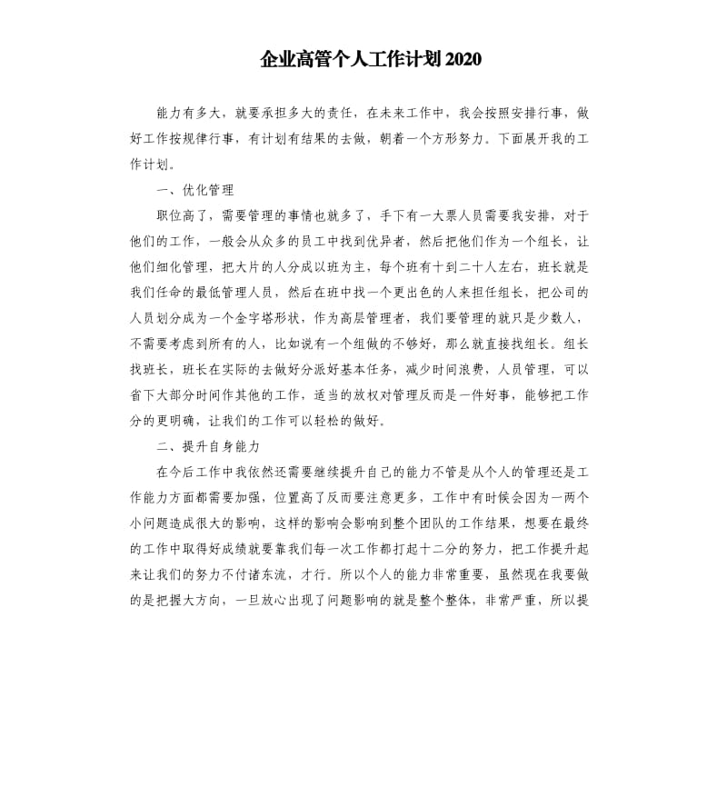 企业高管个人工作计划2020.docx_第1页