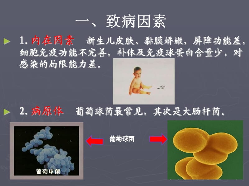 新生儿败血症课件.ppt_第3页