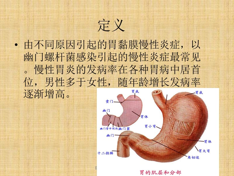 慢性胃炎患者的护理内容PPT.ppt_第3页