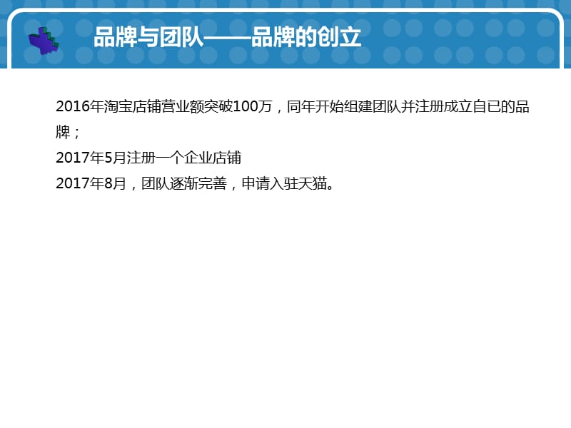 成功入驻天猫品牌运营计划书.ppt_第3页