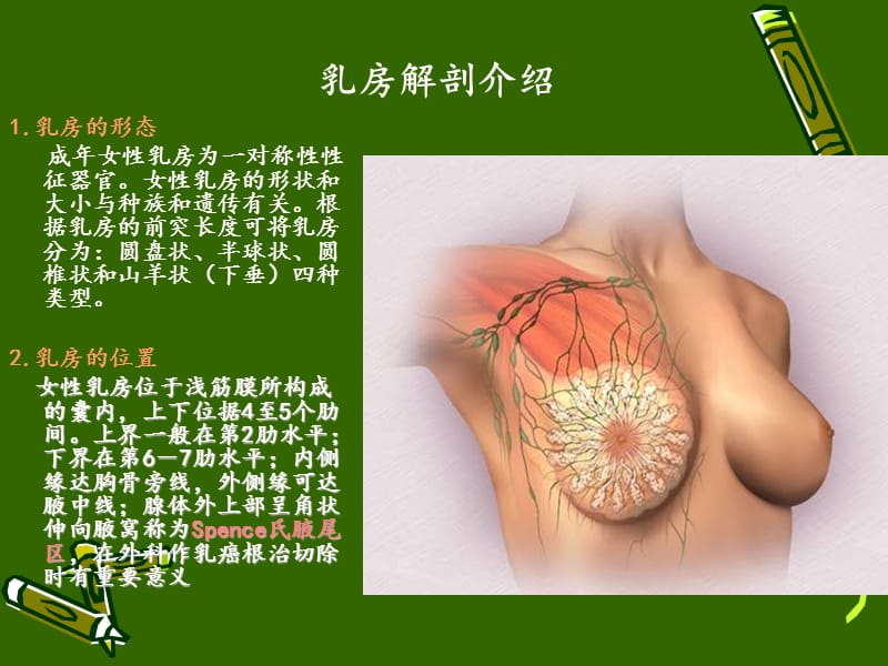 急性乳腺炎护理PPT.ppt_第3页