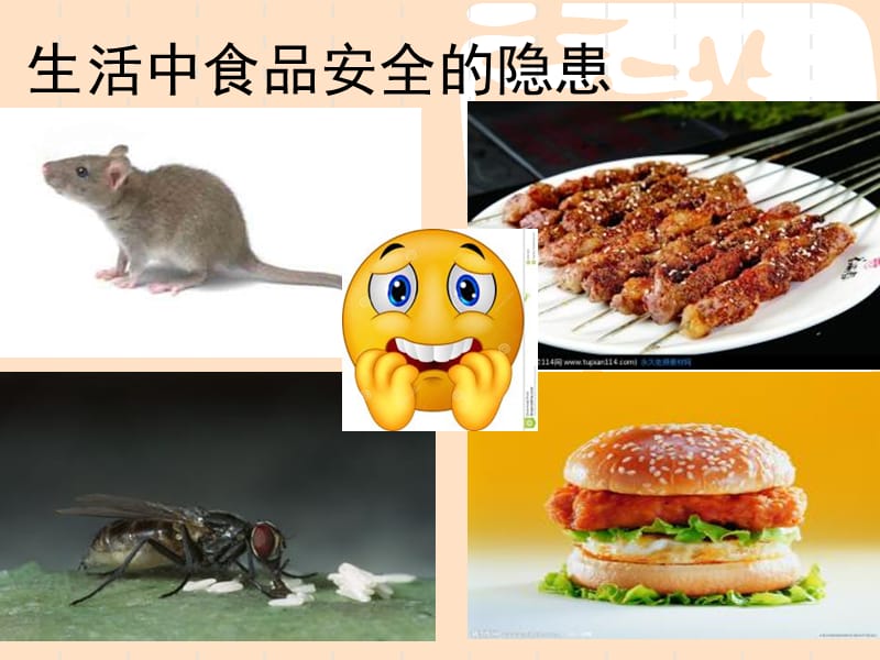 幼儿园饮食安全.ppt_第3页