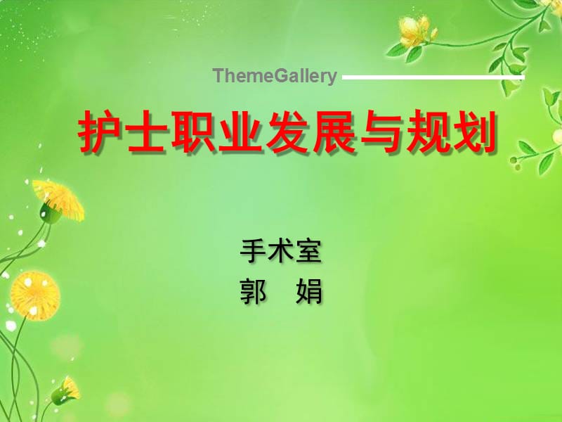 护士职业发展与规划.ppt_第1页