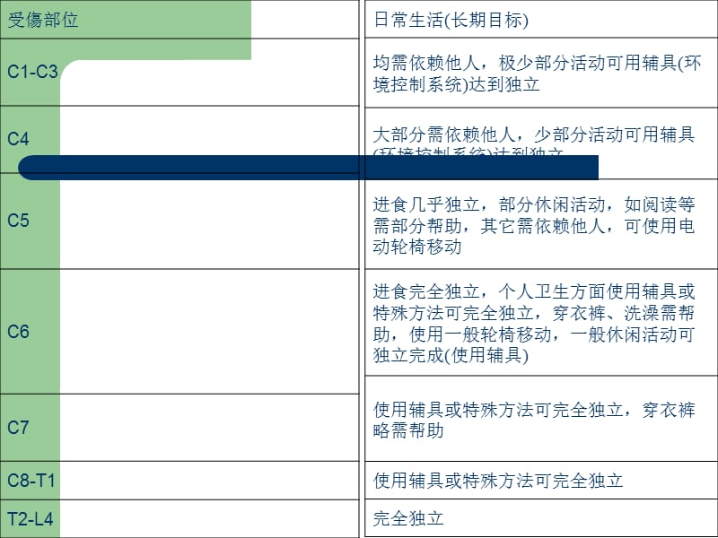 康复辅助器具的应用.ppt_第2页