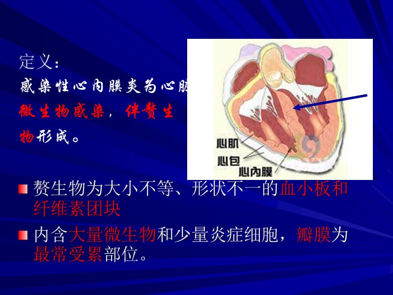 感染性心内膜炎护理PPT.ppt_第3页