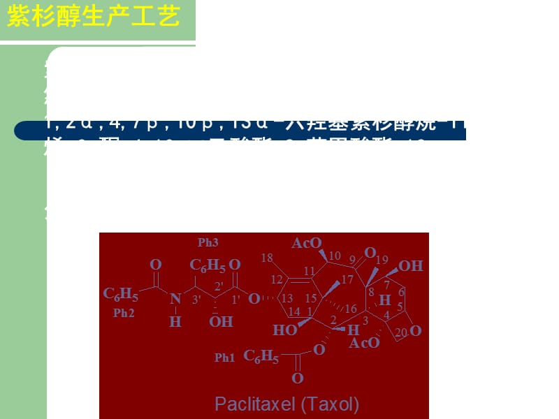 制药工艺学：紫杉醇生产工艺.ppt_第2页