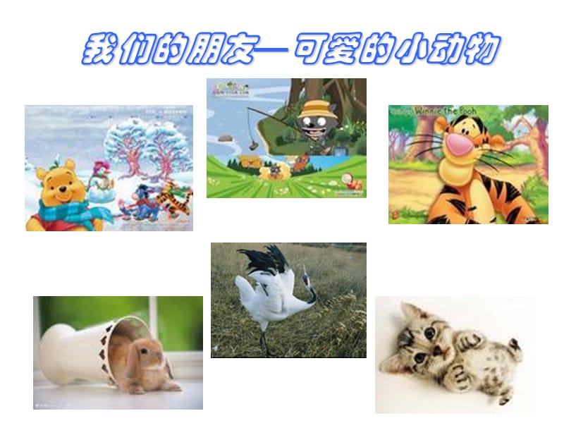 小学生环保PPT62463.ppt_第3页