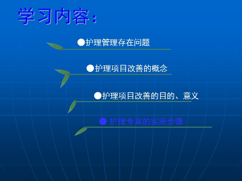 护理专项改善.ppt_第2页