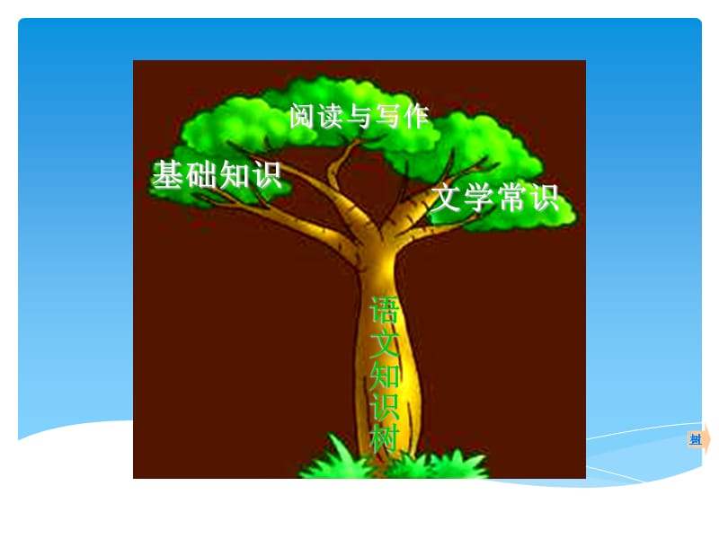 小学语文知识树简图.ppt_第2页