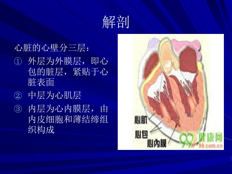 感染性心内膜炎.ppt.ppt_第3页