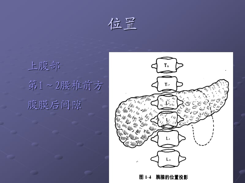 急性胰腺炎ppt27237.ppt_第2页