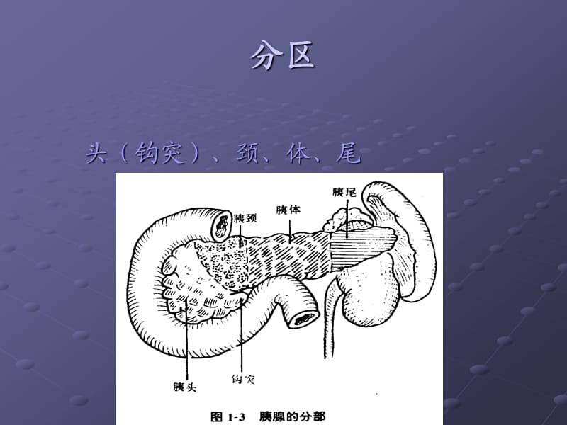 急性胰腺炎ppt27237.ppt_第3页