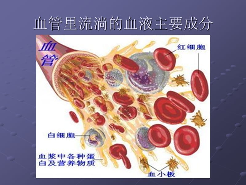 急性肾小球肾炎PPT.ppt_第2页