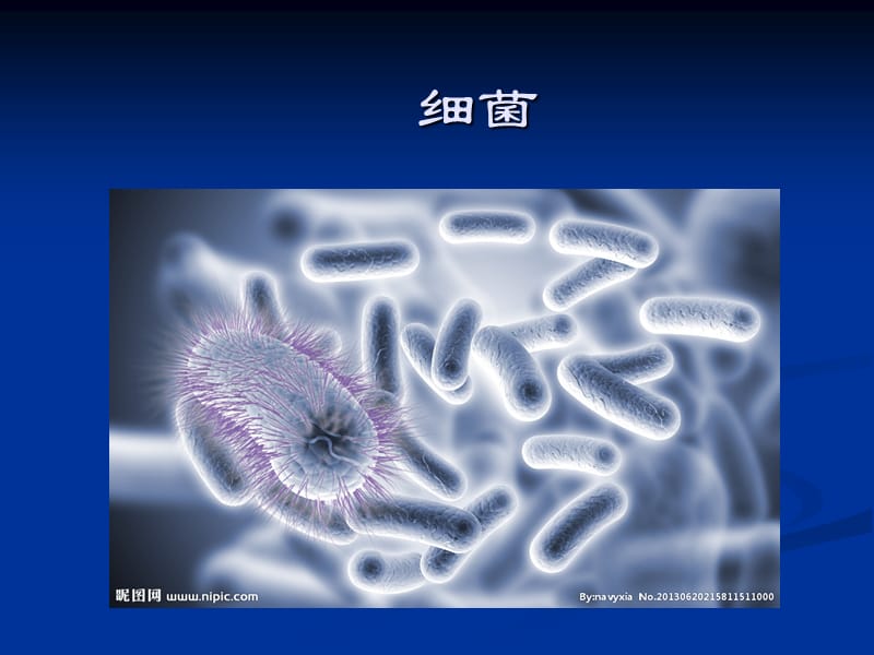 大班-安全：《预防疾病》27890.ppt_第3页