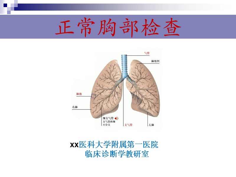 诊断学教学ppt-胸部查体.ppt_第1页