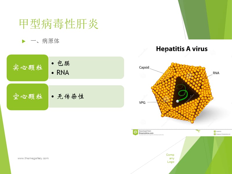 甲型病毒性肝炎护理ppt.ppt_第1页