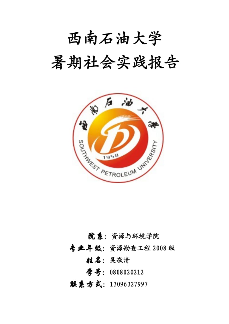 暑期实践报告乐山大佛景区调查报告.docx_第1页