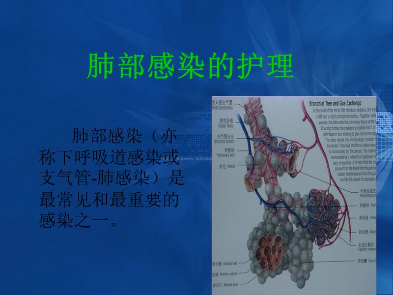 肺部感染.ppt_第1页