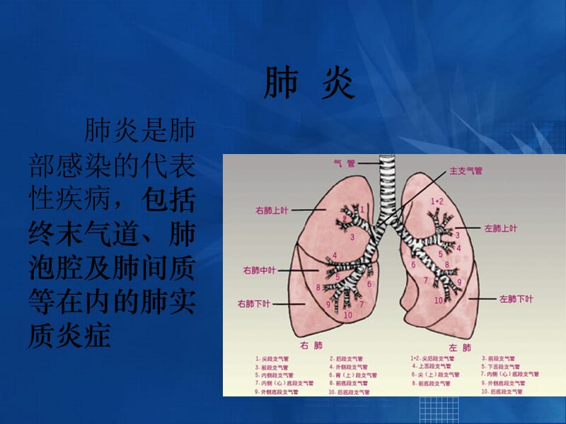 肺部感染.ppt_第2页