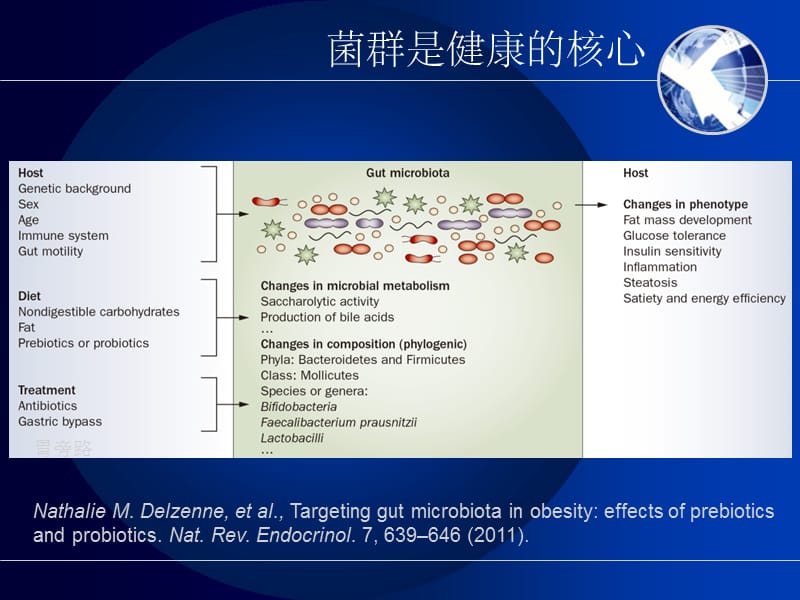 肠道菌群与人体代谢疾病.ppt_第3页