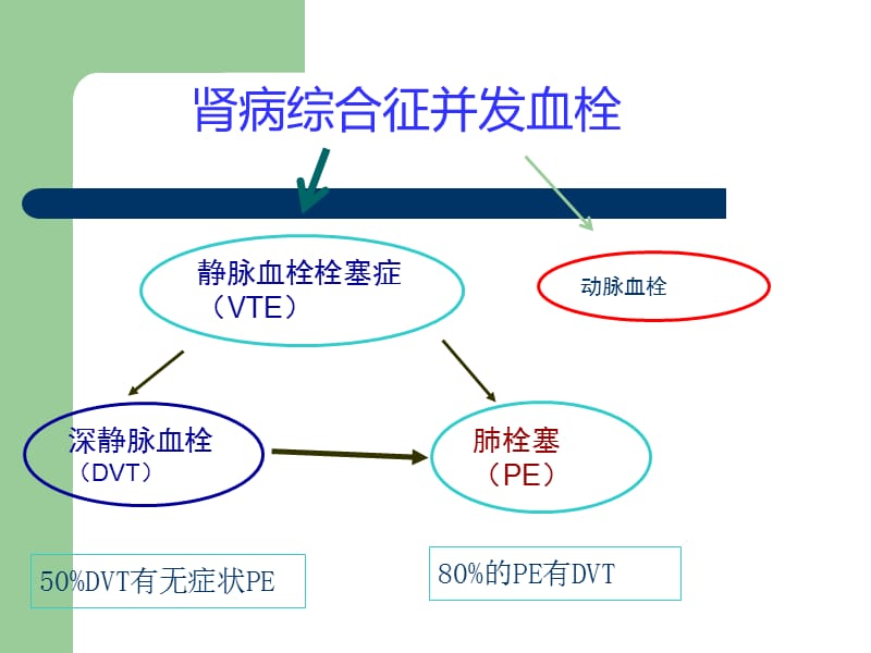 肾病综合征抗凝治疗.ppt_第3页