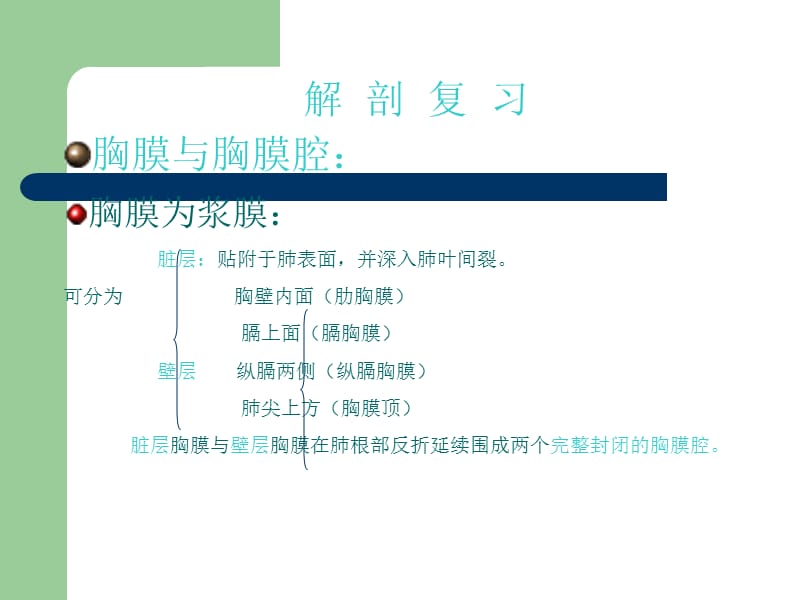 胸腔的超声诊断学.ppt_第3页