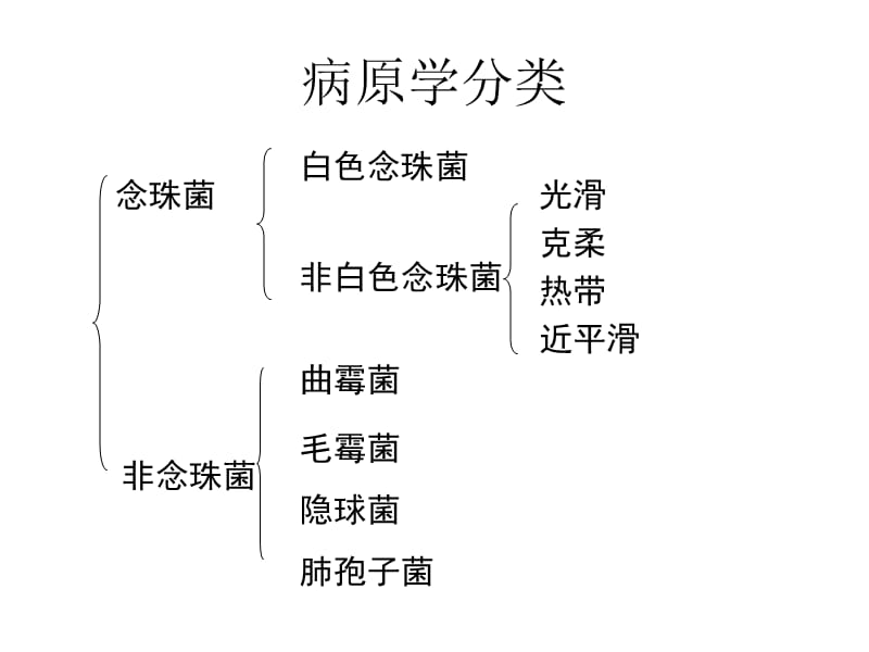 肺部真菌感染的影像学特点.ppt_第2页