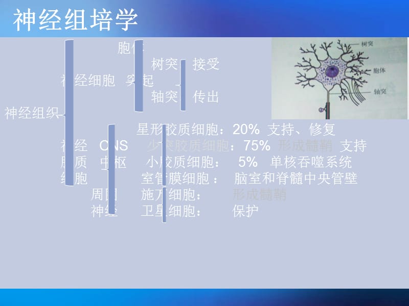 脱髓鞘假瘤MRI诊断.ppt_第3页