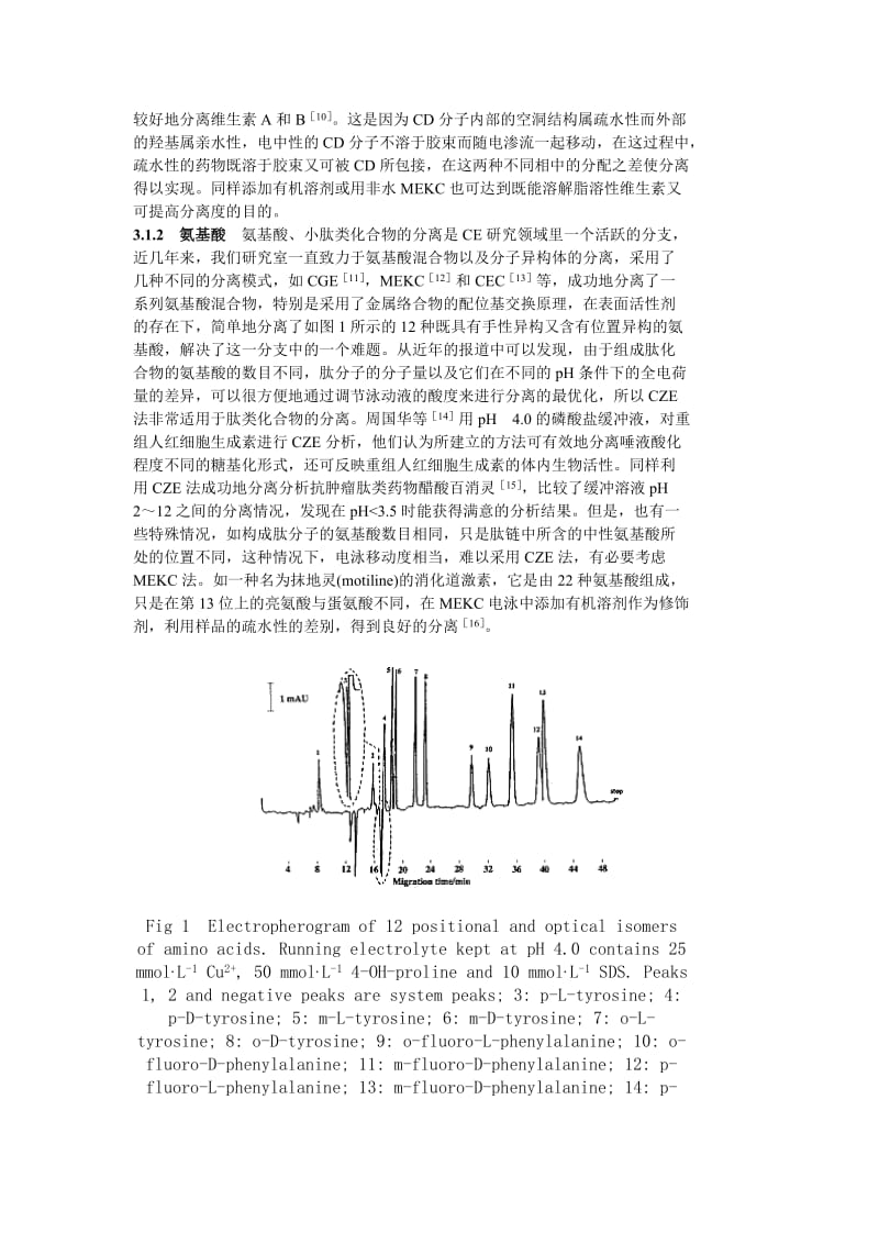 毛细管电泳在药物分析中的应用.doc_第3页