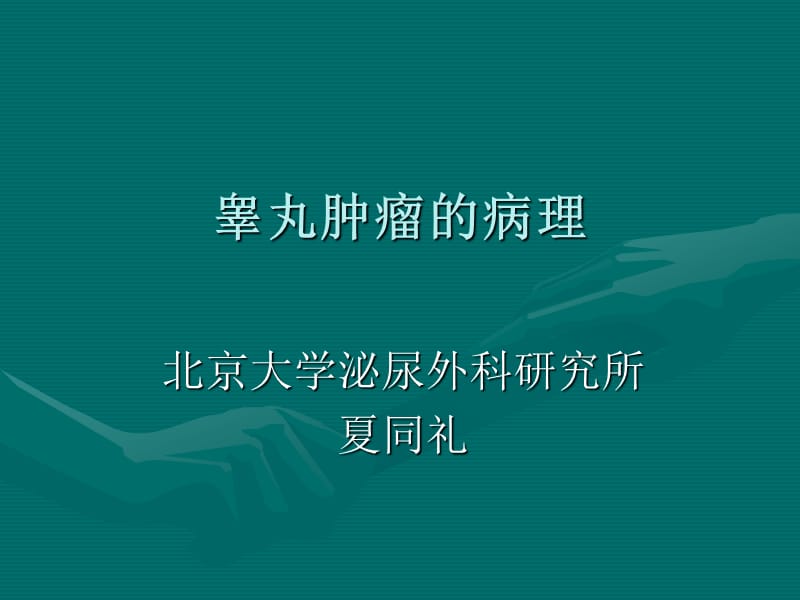 睾丸肿瘤的病理.ppt_第1页