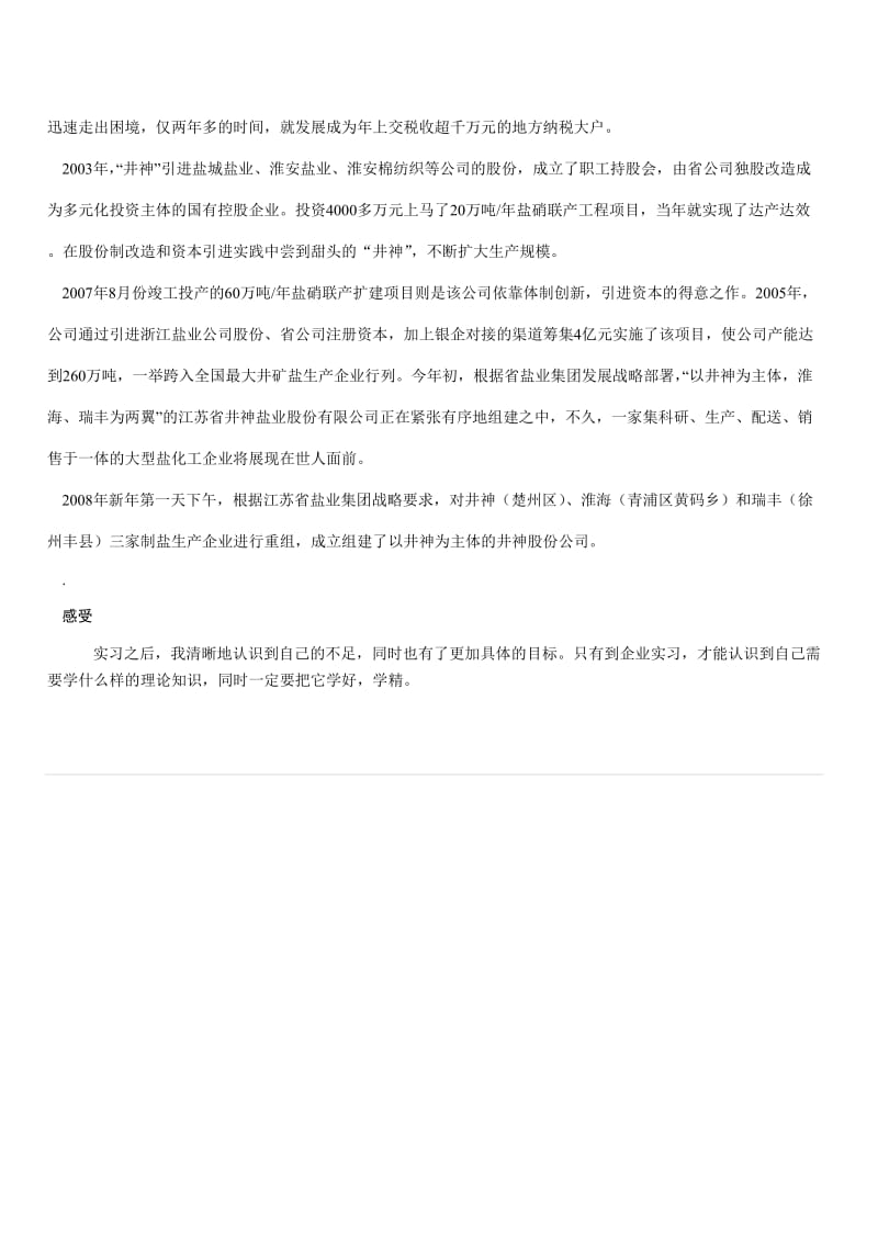 大学生井神盐业实习报告.doc_第3页