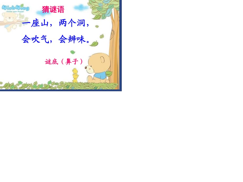 鼻子的秘密.ppt_第1页