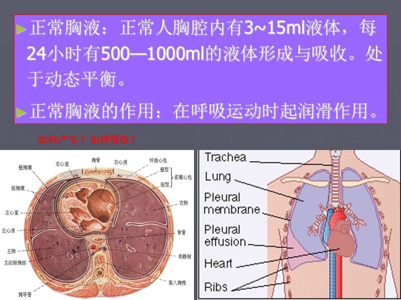 胸膜疾病8版.ppt_第3页