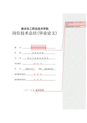 南京化工職業(yè)技術(shù)崗位技術(shù)總結(jié)(論文設(shè)計(jì))模板.doc