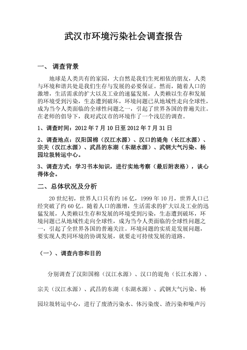 武汉市环境污染社会调查报告.docx_第1页